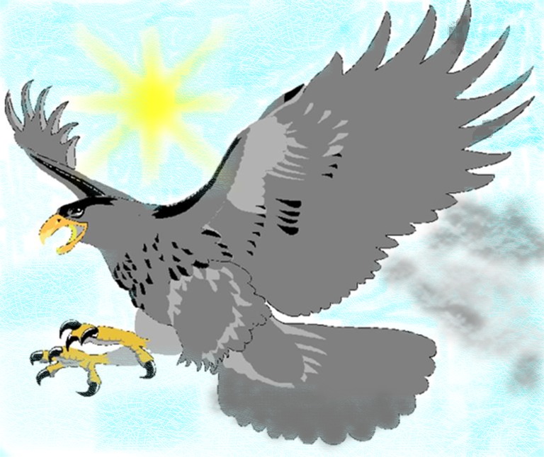 silver hawk